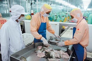 湛江检验检疫局做好出口食品企业备案工作